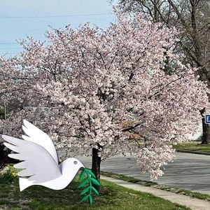 Meet your Posher, Lee anne